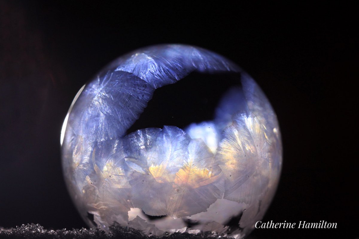 Great cold temperatures last evening makes for great frozen bubble art . Petitcodiac,N.B.
 #snow #ice #macro  #frozenbubble #photohour #shareyourweather #PhotographyIsArt @NatGeoPhotos @KalinMitchelCTV @PhotographyWx @CindyDayWeather @earthescope @AP_Magazine @weathernetwork