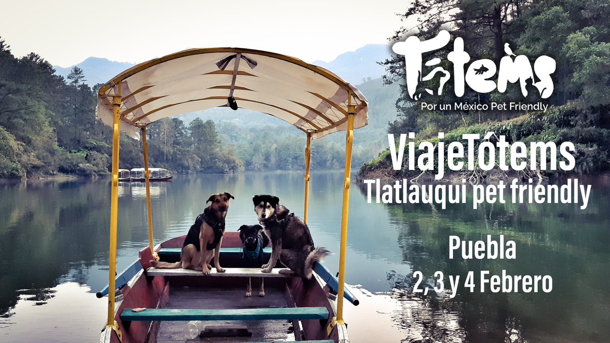 TotemsMx's tweet photo. Mira este viaje de sueño con que iniciamos el año. Cañonismo básico con tu tótem ( no requiere experiencia) , visita a 3 cascadas, paseo por lancha en presa, pueblo mágico y mucho apapacho.. ¡aún tenemos lugares!
https://t.co/jvUtJMF7Iy
#petfriendly #Puebla https://t.co/4Y99BmHtMo