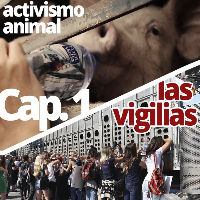 PACMA on Twitter "Cuando la empatía llega hasta las puertas de los