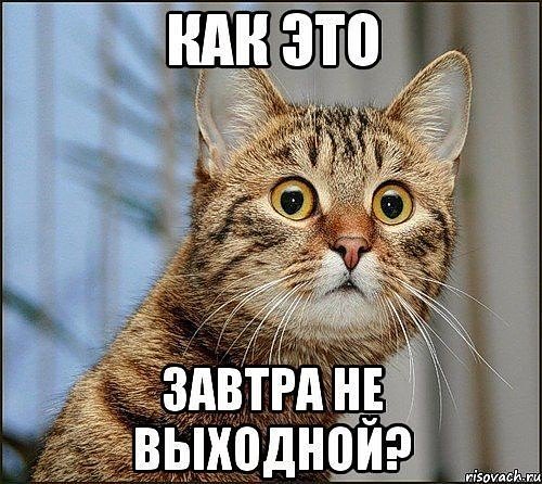 Днем рождения, прикольные картинки блин завтра на работу