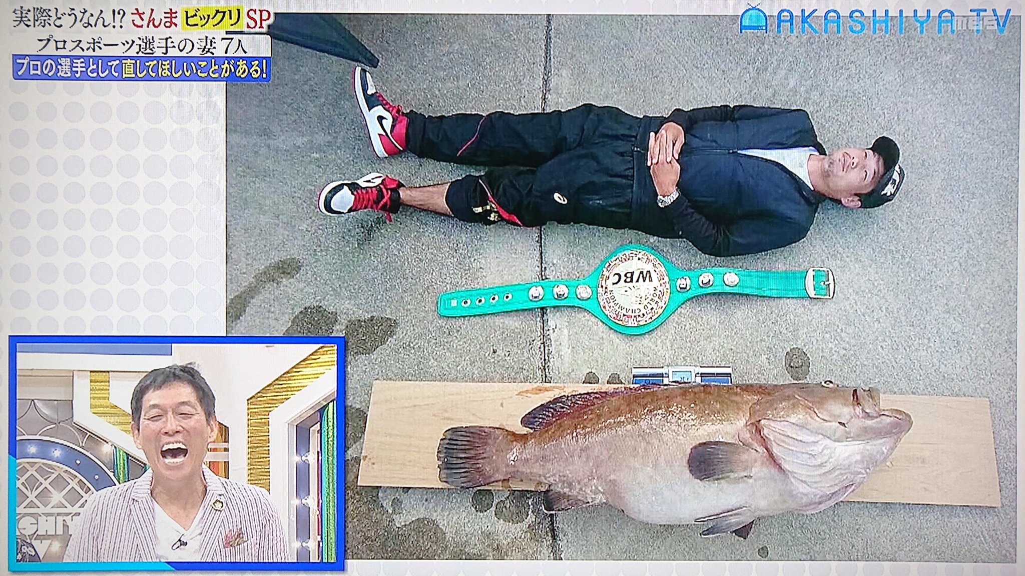 Take7700 元プロボクシング世界チャンピオン 長谷川穂積選手 何度見ても名写真 長谷川穂積 ボクシング チャンピオンベルト クエ 明石家電視台 明石家さんま