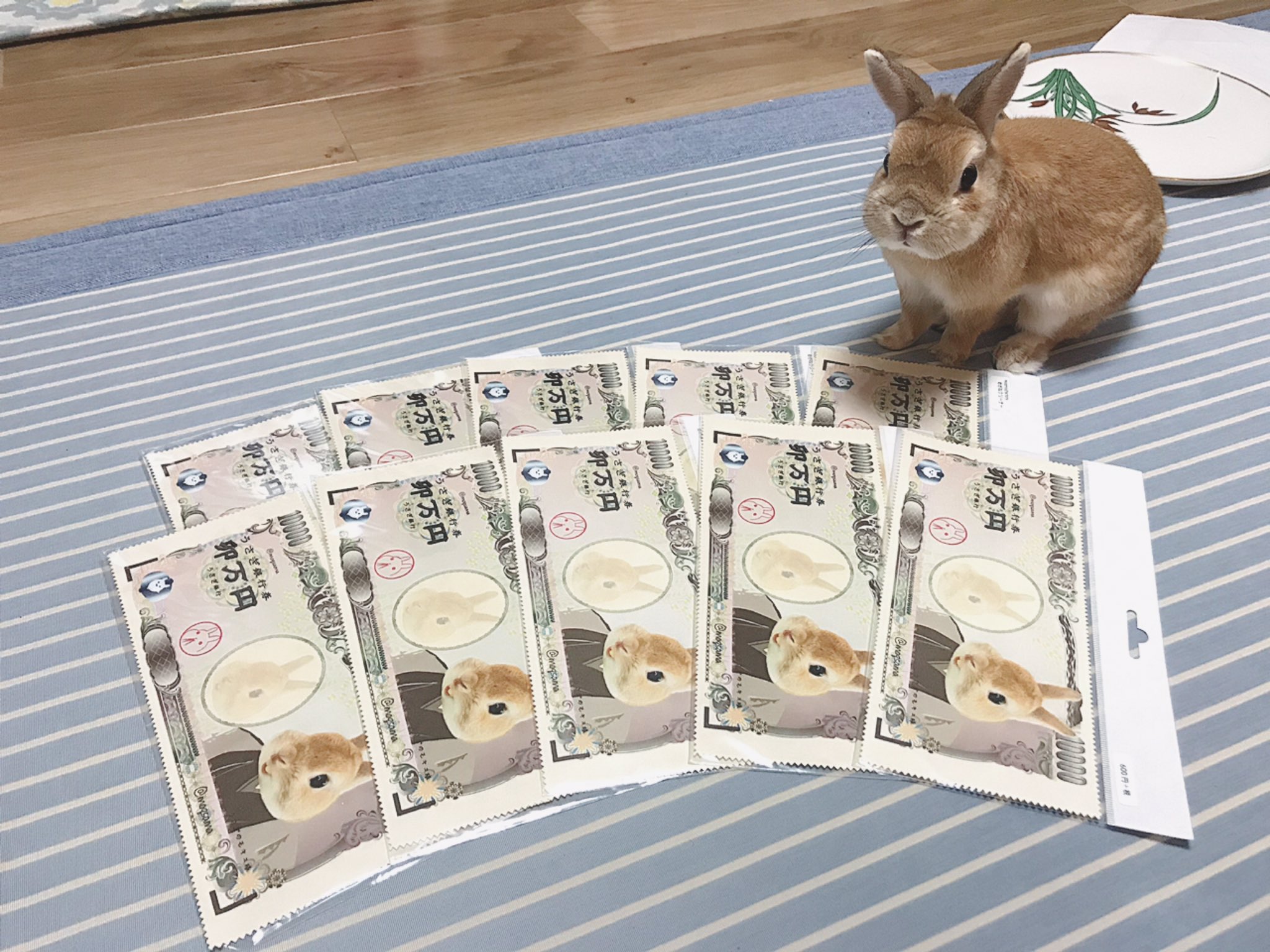 モキュ様のおかん💛モキュ＆ぺるぽ on X: 