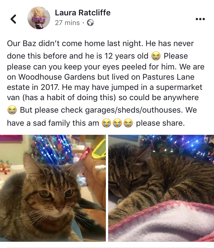 Please help us find Baz. Ruddington area. NG11.