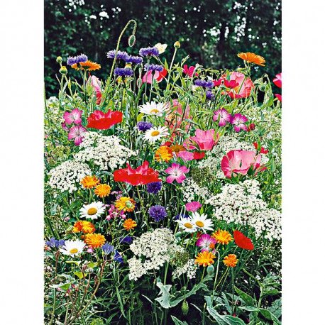 HAPPY TUESDAY 🙌🏻✌🏻🌷<a href="/SebastianHine/">Sebastian Hine</a> 
<a href="/SultanAliqazi/">Sultan Ali qazi</a> <a href="/MajorWaheed/">Waheed Zafar</a> <a href="/Wael22784503/">وائل</a> <a href="/WahSoran/">soran</a> <a href="/KhalilGaz/">Khalil Gaz</a> @JAGDISHRAI053 <a href="/Rajaram07636644/">selva  the king of positive Life</a> <a href="/RAJESHT28209701/">🇮🇳 राजेश 🍁🍃हिंदू 🍃🍁🇮🇳🚩🇮🇳</a> <a href="/ravindr63889094/">💥💥💥Ravindra Kumar Srivastava💥💥💥</a> <a href="/Jendrekan/">Ανδρεασ</a> <a href="/jeffshen01/">❄JEROME🔥</a> <a href="/Prime758523541/">sarjel Khan</a> <a href="/noornoo77056192/">🍁N🍁N00R🍁The lover</a> <a href="/QuattroMori61/">Quattromori61</a> <a href="/abdalka14625225/">abd-alkader👀</a> <a href="/yusuf84040973/">💞yusuf💝</a> <a href="/RaufTamerB/">Tamer Baykaler</a>