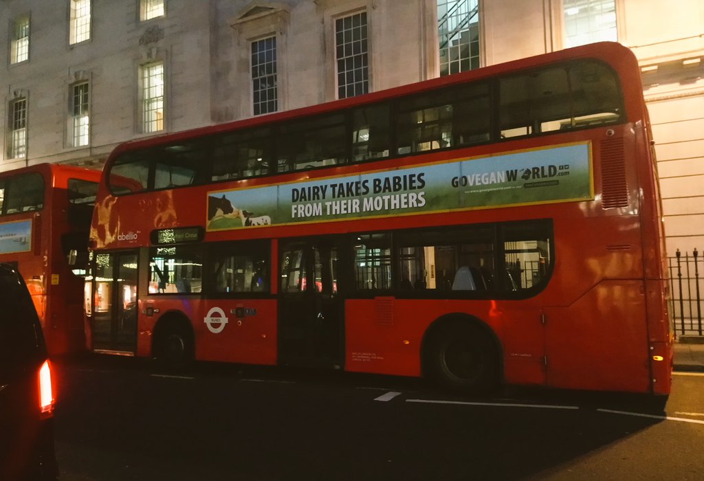 BishopWeston's tweet image. #veganuary!
It's on the buses
It's on the streets
It's in the papers
It's on TV
It's on the radio
It's in the shops
I hope it's on your plate!
#Veganuary2019
#TuesdayMotivation
#govegan
See @WeAreVeganuary for free help