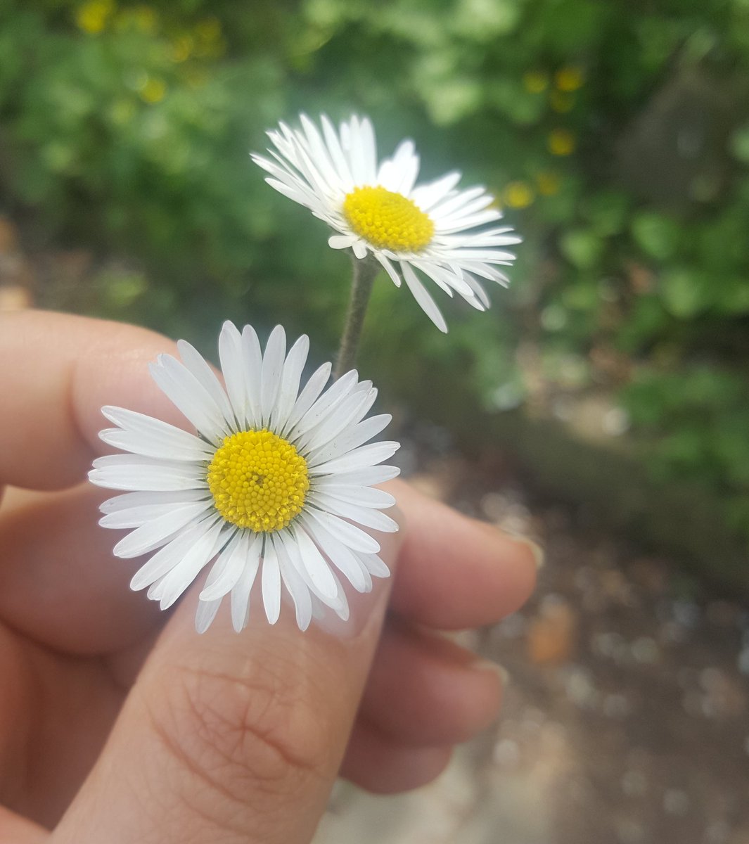 Unuturum diye uyudum..
Yine seninle uyandım..

Belli ki uyurken de sevmişim seni🍒