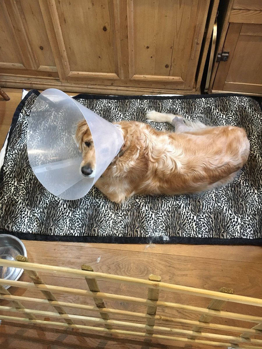 mark_barratt tweet media