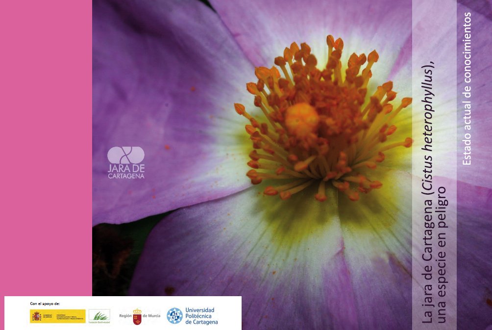 Monografía técnica 'La jara de Cartagena (Cistus heterophyllus), una especie en peligro. Estado actual de conocimientos'
Disponible online en la web ▶️ goo.gl/2k4sR9 
#Biodiversidad #jaradeCartagena #Conservación #Monografía