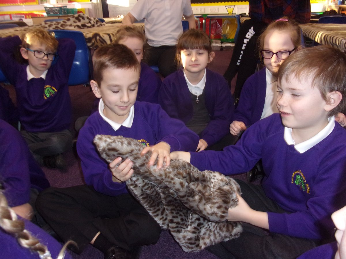 MissJenkinson's tweet image. WOW! What an exciting start to our 2nd day back of term 2. Y3 have been greeted by a prehistoric expert, Mrs Ashby. We&apos;ll spend the day learning about the Stone Age #history #learnandenjoy #bringinglearningtolife @GarswoodPrimary Keep your eye out for more #prehistoric tweets