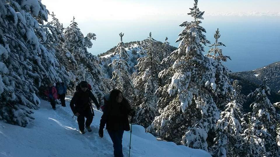 fationplaku1's tweet photo. Çika mountain.  Llogara.  Himare.  Vlore.  Albania 
#cika #llogara #vlore #mountains #albania #hiking #wildplace #gopro #herogopro #snow #traveltheworld #twitter #exploremore #wander #wildness #adventuretime #getaoutside #himare #outdoor #adventuretime #nat_geo #winter #twitter https://t.co/O1MC9VIAf7