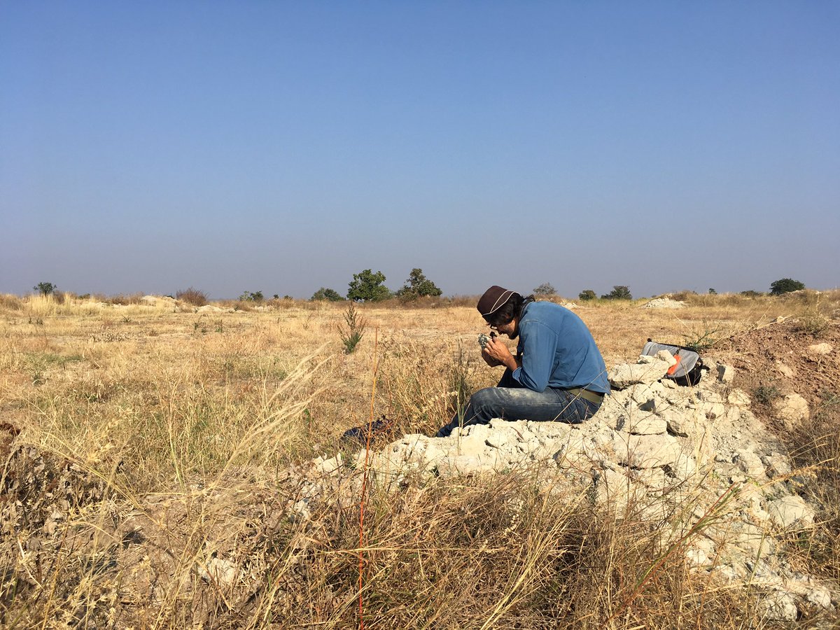 Another good day in the field. <a href="/diapophysis/">Jeff Wilson Mantilla @diapophysis.bsky.social</a> here scoping out vertebrate microfossils in infratrappean rocks from quarry spoil piles. Croc fish turtle. #india #paleontology