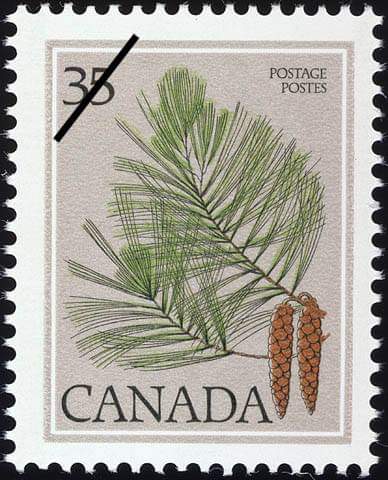 Columbo1806's tweet photo. [ Émission en 1979 ]

Le pin blanc de l'Est a été représenté sur un timbre canadien dont on a tiré 1,2M d'exemplaires. Dès le XVIIe siècle, la marine britannique reconnut la valeur du pin blanc pour les mâts et les espars. 

#timbre #cageux #Raftsmen #Columbo1806 #PhilemonWright https://t.co/YlQiwwb0uz
