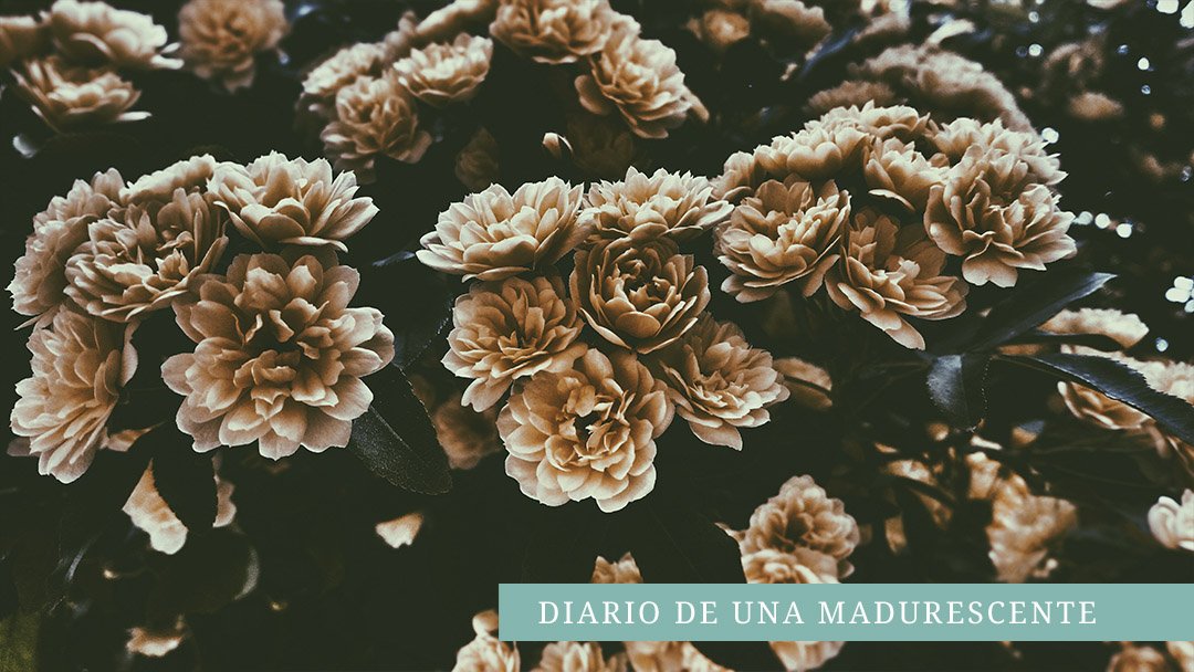 Comenzamos la vuelta de vacaciones con una nueva entrega de nuestra colaborada, Consuvisa; con la segunda entrega de su trilogía "Cuando decidí hacerme delincuente". Entra y descubre qué nuevas aventuras nos ha preparado. #somosmadurescentes bit.ly/2Fg0w9q