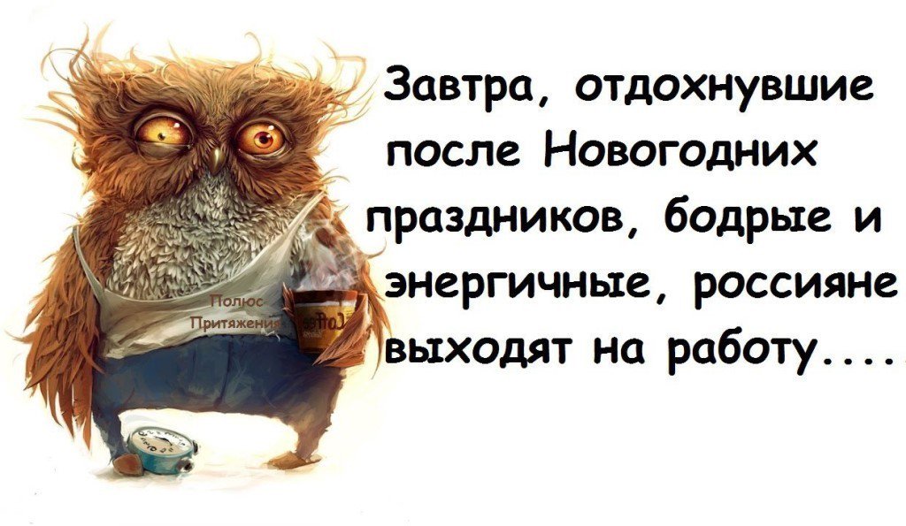Цветы сайт, картинки снова на работу после нового года