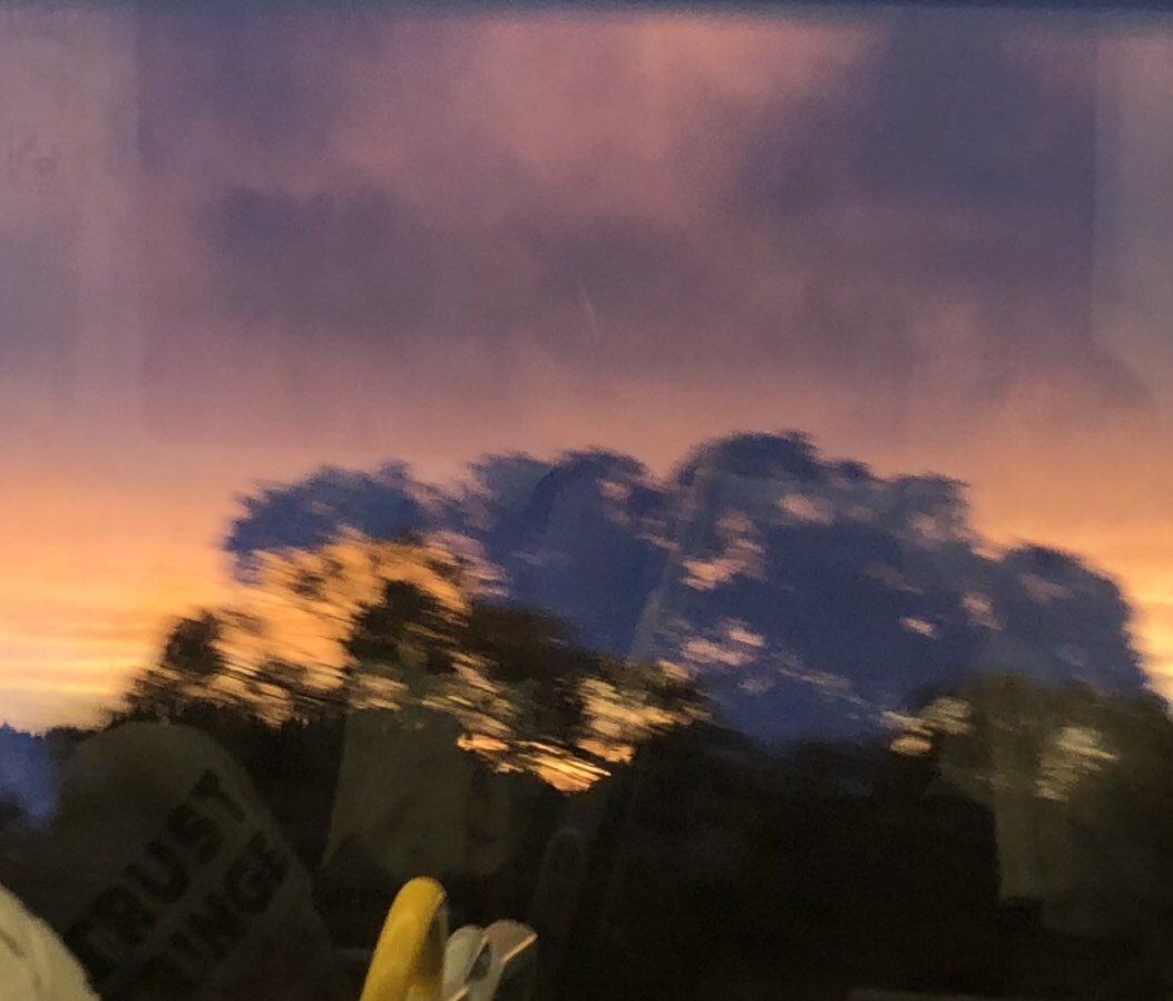 OneWord_MW's tweet photo. Its like the trees are burning
View from the train window #FlyHigherMayWard https://t.co/MyzIGE3Owo