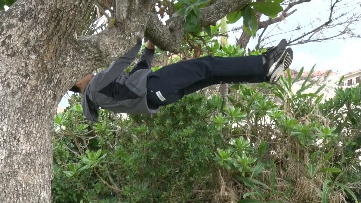 News Zeroさんのツイート こんばんは 東京五輪を目指す９種目10人のアスリートが かつてない異種目合同トレーニングを決行 トップ アスリートが極限まで追い込まれ 異種目のトレーニングに驚きの連続 木につかまり異様な体勢のこの選手 一体だれ