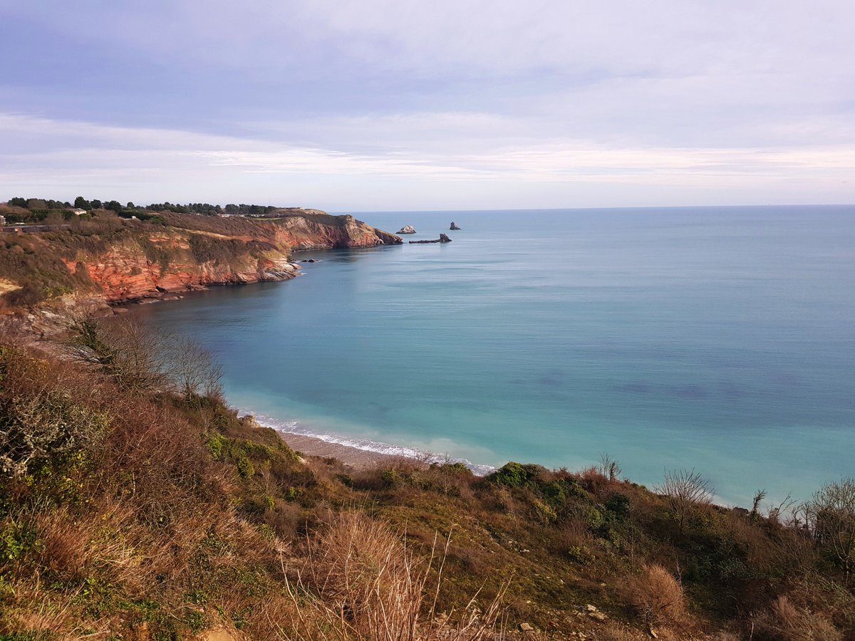 BrixhamCottages's tweet photo. Just another Tuesday 8th January in Brixham! We really can get amazing weather at this time of year....needless to say the dogs love the empty beaches and coves too! Why not browse https://t.co/YQwwqrh0GW and find your perfect Brixham Cottage #discovergoodtimes https://t.co/9zH9KpX7JO