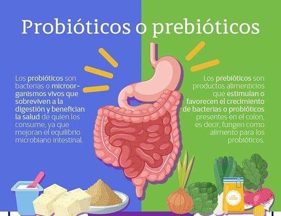 Prebióticos alimentos