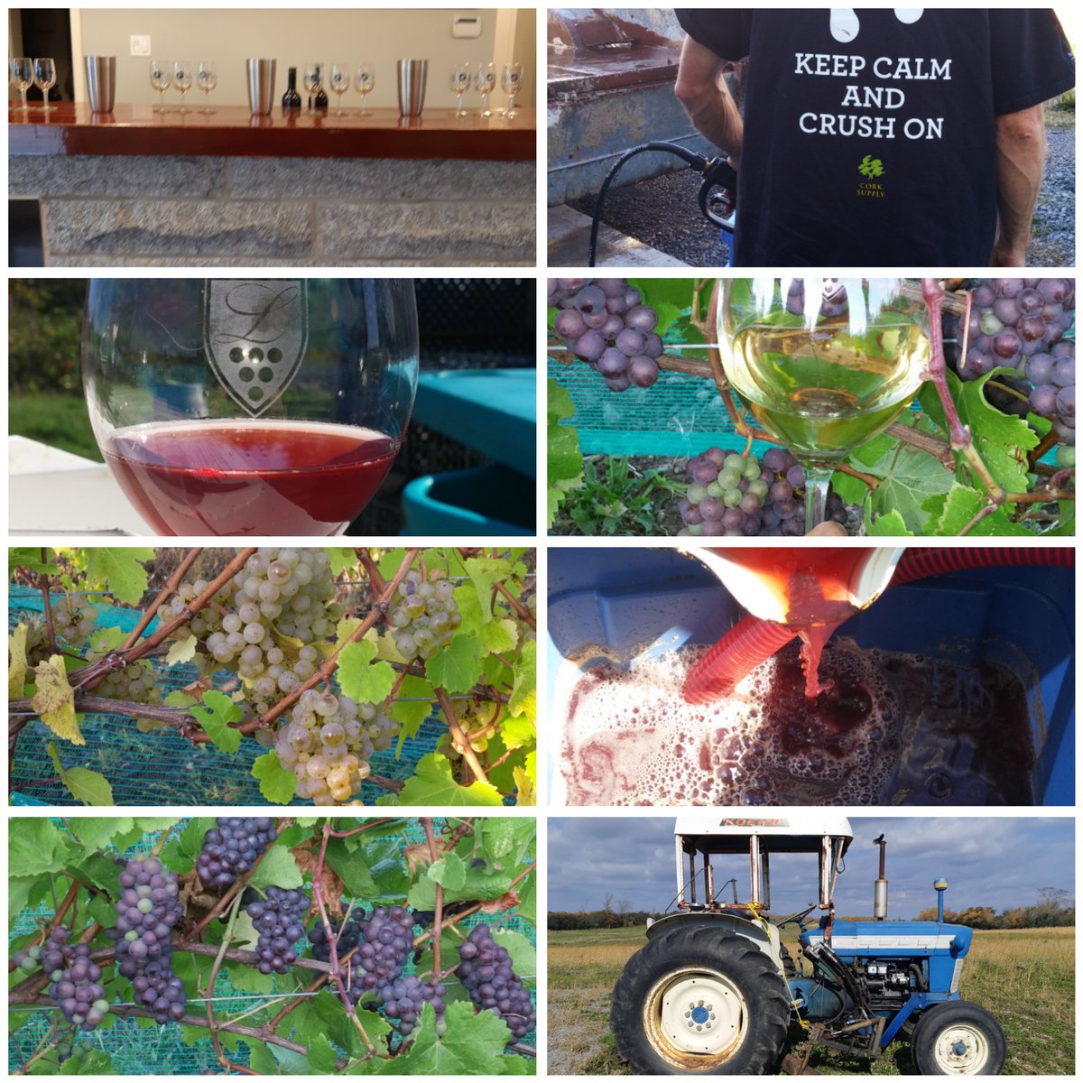 LaceyEstates804's tweet photo. Open daily 11am-5pm. Great shots from 2018. #hillier #pecwines #laceyestates #closson #clossonroad #vqa #winecountry #winemakerslife #countyup #princeedwardcounty #visitpec@ @PEConca @MyWineCanada @BorisNikolovsky @PECRetreat @VisitTheCounty @PECWineNews @PECOntario @PECWines https://t.co/7Irktm6QqC