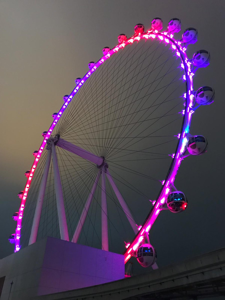 Good Morning Las Vegas 🤠! Ready for #CES2019? #robotics