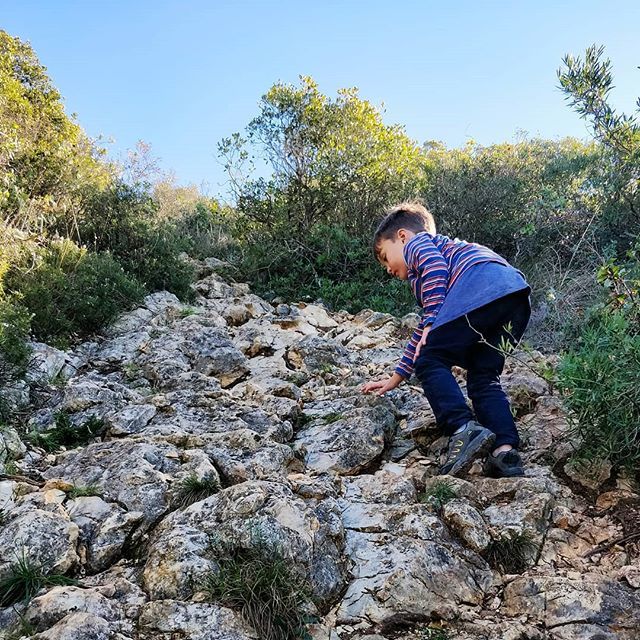 1000 feet of vertical climb and a total of 4.5 hours of  hiking. #proudmama #portugal ❤️ 🐐🌳😁