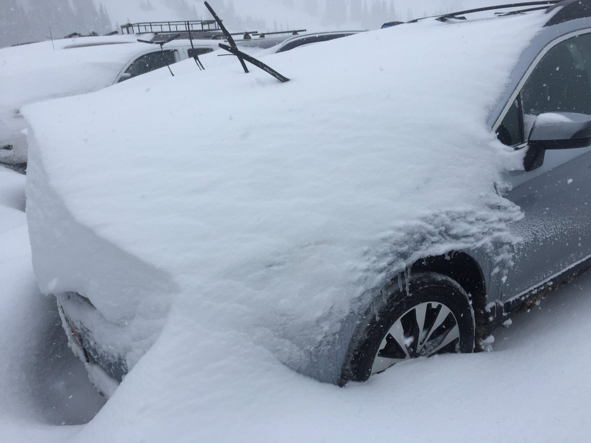 RustlerLodge's tweet photo. 25 inches since SUNDAY! #whiteroom #powderpanic #rustlerlodge #nuketown #alta @AltaSkiArea https://t.co/1FPJEponSC