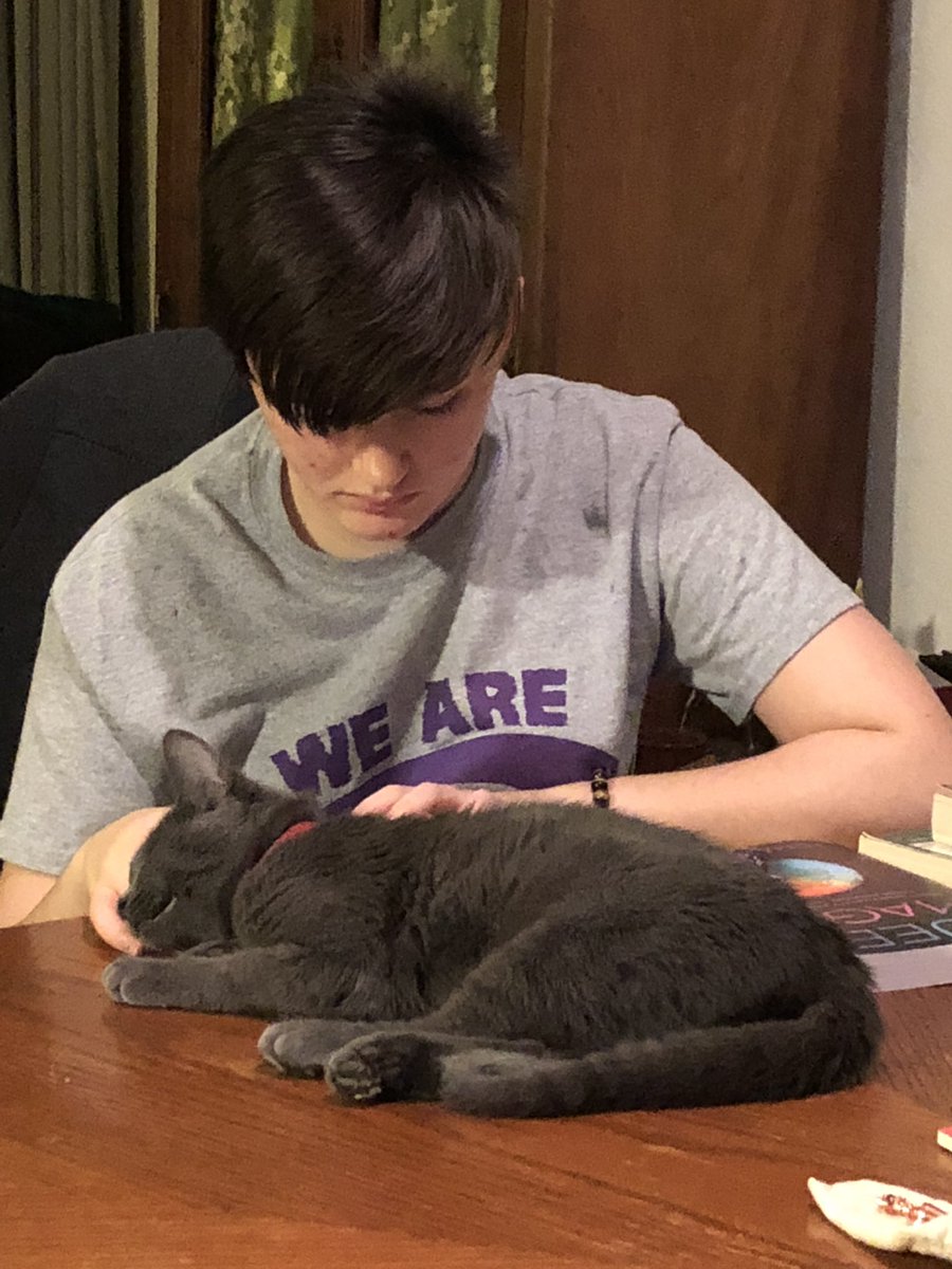 PartingtheMist3's tweet photo. @SubPress @KatWithSword #picsofmeowsandbarks https://t.co/b2OY6lLJb4