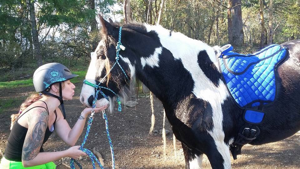 Kazan the #gypsyvanner enjoying time with his #bff. 😊 Isn’t that Royal blue #barebackpad gorgeous? And oh so comfy too!
#boondocksequestriancanada #intheboonies #vancouverislandbc #cobblehillmountain #rockranchgypsyvanners #comfortequestriangear #equestrian #equestrianlife