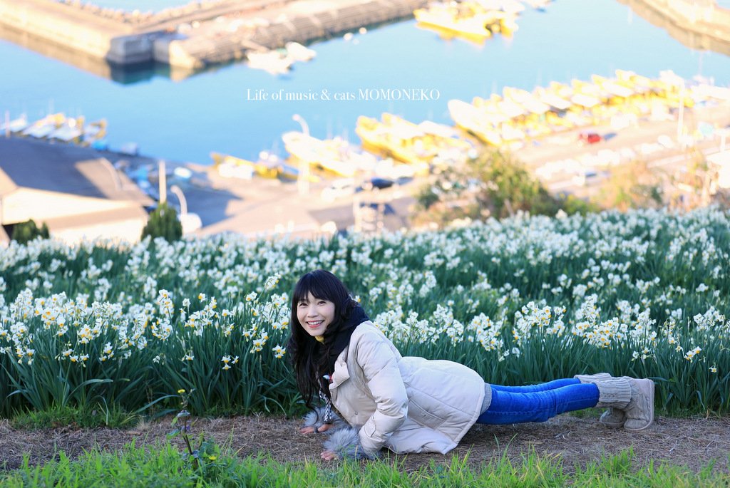 O Xrhsths 桃猫momoneko Sto Twitter 双海町下灘の海岸沿い高台に広がる水仙の丘で 清々しい潮の香りと甘く芳しい水仙の香りの中で 喜びの 腕立て伏せ 何故なんだっ ポートレート 写真 水仙 Portrait Portraitphotography Photo Daffodils