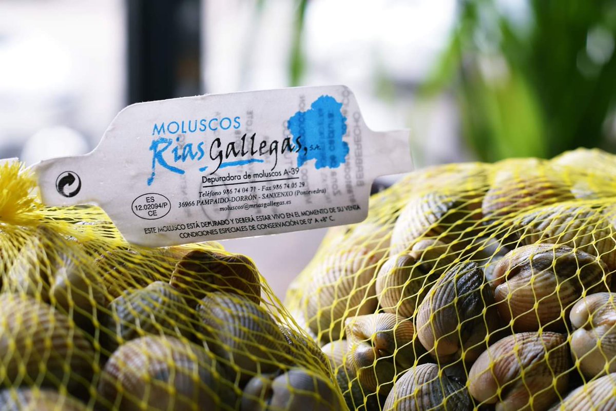 Bendito norte... y es que su mar y su gastronomía roba el corazón y el paladar de cualquiera. Acaban de llegar a nuestra cocina estas almejas frescas con una calidad impresionante, ¡Ven a probarlas!