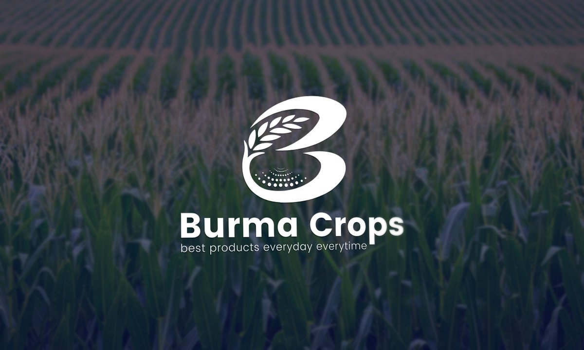 NatishaNur1's tweet image. Are You Looking for a  #Logo #Branding #Identity #Design  

Order Here: bit.ly/2SB1gcv             

 Check My Work: bit.ly/2JRxUlu             

#logo #brandidentity #corporateidentity #icon #modern #minimalist #professional #lynn #Wanderers #Wellington