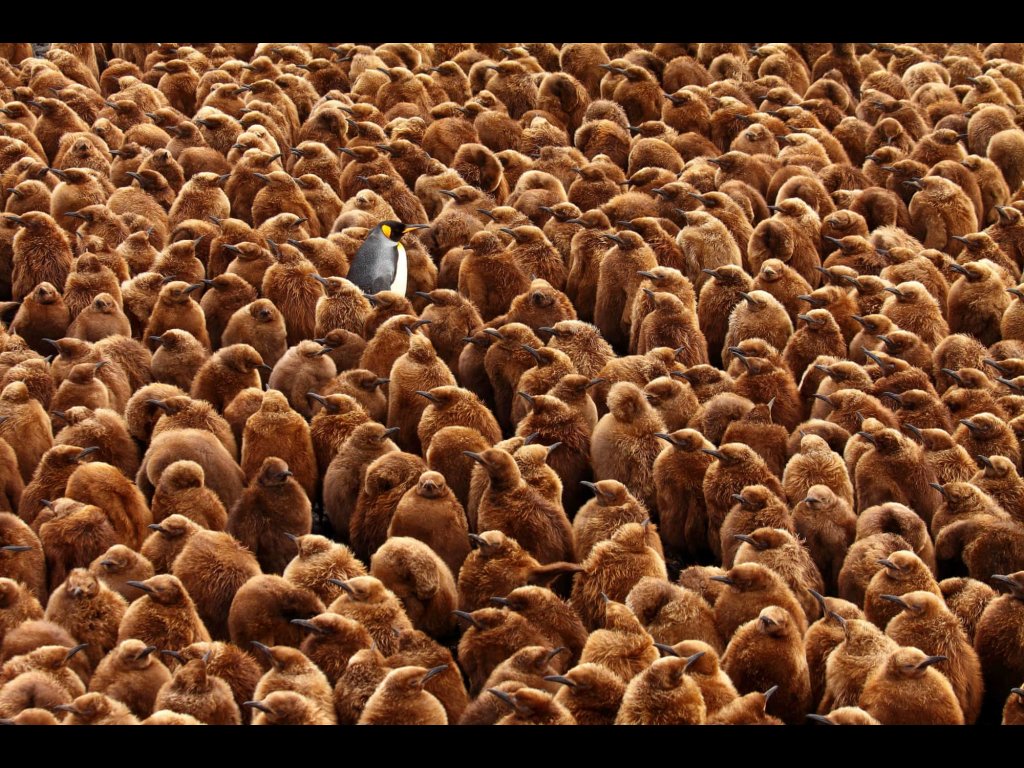 9 January thehalfaman.wordpress.com/2019/01/09/9-j…