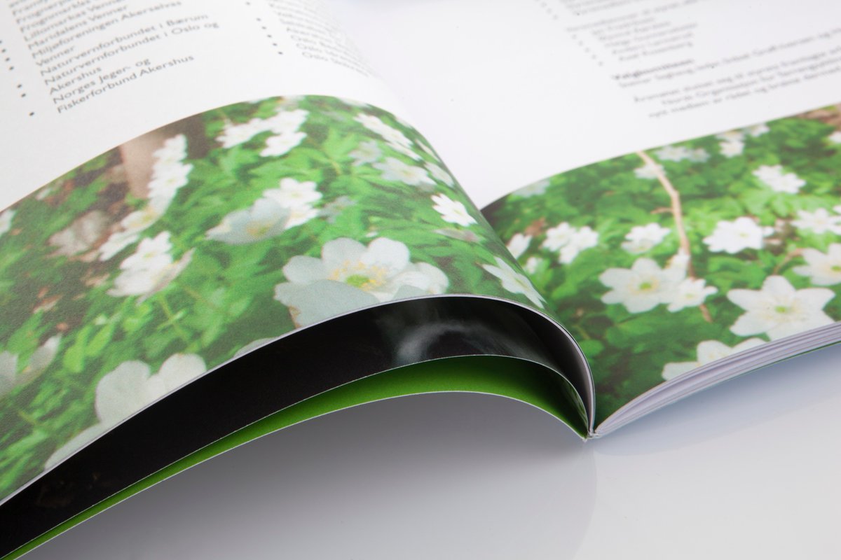 Service Graphics tweet media