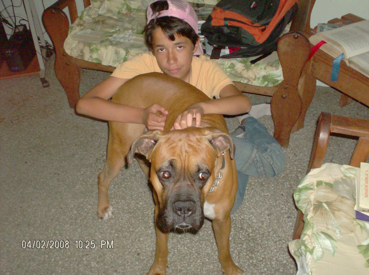 kristoferlbl's tweet photo. Pero yo nunca pense que doliera tanto :'( vuela alto mi perrito que tristeza tan enorme siento en mi corazon al levantarme y ver que ya no estas aqui te voy a extrañar siempre y en mi mente y mi corazon siempre vas a estar cuidame siempre mi Darquito hermoso :( YO TE EXTRAÑARE https://t.co/PRIZKZKsI9