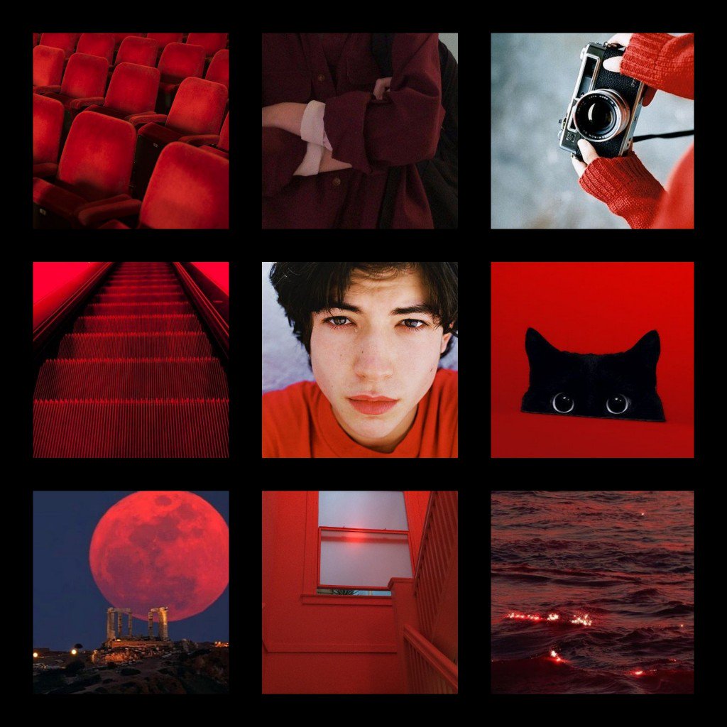 AaronMoooore's tweet photo. Aaron Samuel Moore
×  19 yrs old
× bisexual
× animagus (cat)
× film geek
× mediocre photographer
× gamer 
× shitposter
#RPTH #OriginalCharacter
RT and follow? 
I FOLLOW BACK JUST ASK. https://t.co/jrIa7baX23