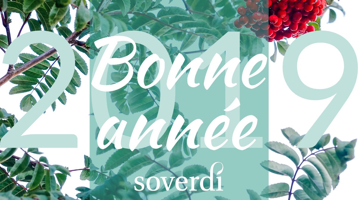 Notre vœu cette année ? Verdir toujours plus Montréal à vos côtés🌳 ! Et notre green team est déjà en train de planifier tout ça. 
Et vous ? Quel projet vous donne envie de vous dépasser cette année ? #montréal #verdissementurbain #uapmq #ClimateAction #environnement #villeverte