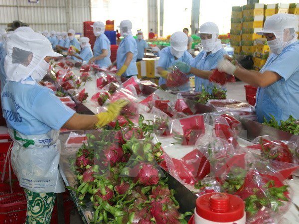 #Vietnam - Binh Thuan reviews the results of the “Enhancing Opportunities for Women’s Enterprises (EOWE)” project to enhance agricultural opportunities for women on.snv.org/2SKbKHg #womenentrepreneurs <a href="/SNVVietnam/">SNV Vietnam</a>
