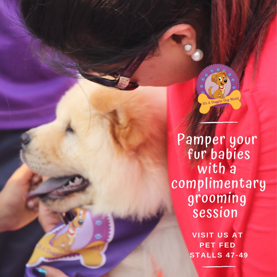 Poojaadvani_DDW's tweet photo. #PamperYourPet at the #DoggiieDogWorld stalls 47-49 this #PetFed2019 ❤️💞😍❤️
.
#CUAtPetfed #LetsPetfed #Love #LovePets #iheart #WeeklyFluff #Mumbai #mumbai_igers #petmom #poojaadvani #lokhandwala #bkc #juhu #petlove #momlife #free #chowchow #versova #bkc #mmrda https://t.co/MdMTqYJHjj