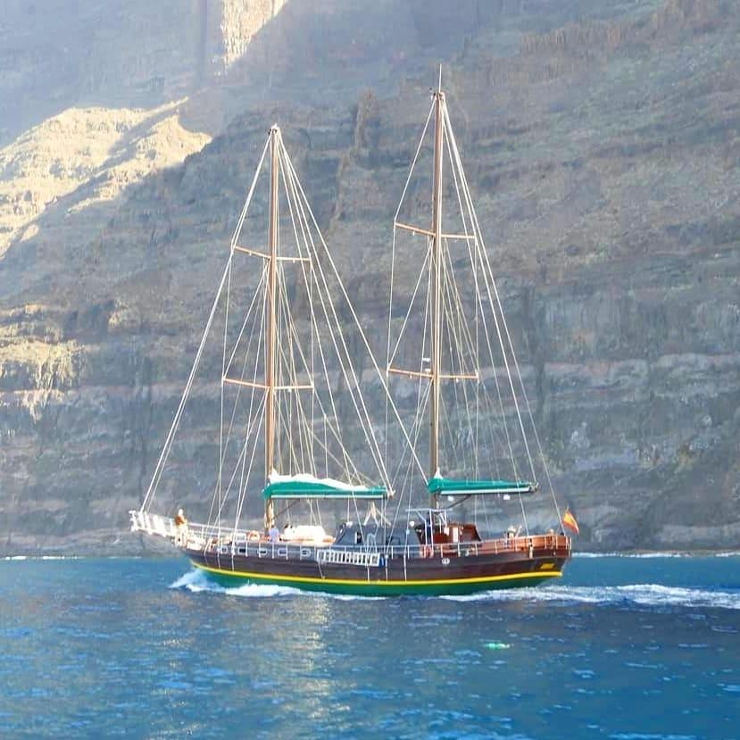 canaryboattrips's tweet photo. On our way to #GuiGui ⛵💙 en camino a #PlayaGuiGui
#AphroditeSailing @CanaryBoatTrips

📞 +34 900 506 260 (gratis)
🕖 EVERY DAY / TODOS LOS DÍAS: 08:00-19:30h
📧 https://t.co/KItqsXcl3u
🌐 https://t.co/rBhbb4TiEv

#CanaryBoatTrips #sailing #grancanaria #PuertoRicoGranCanaria https://t.co/DNz9X4RWy9