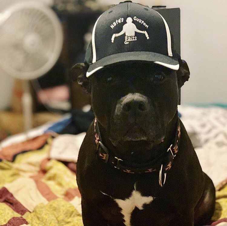 NCB_LureCo's tweet image. Is there a better NCB representative out there??? 😄