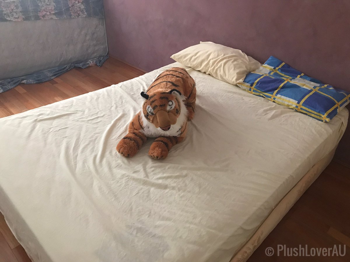 What’s my tiger on an empty bed. He's just being scary when he's on the empty bed or maybe he want to cuddle and kiss me on the bed. 🥰

#tigerplush #wildrepublic #cuddlekins  #tiger #plushie #PlushLover #stuffedtiger #plushloverAU #bed #sexytiger #plushophilia #plushophile