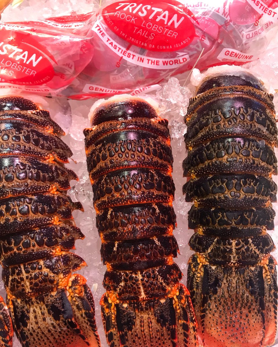 selfridges fish tweet media