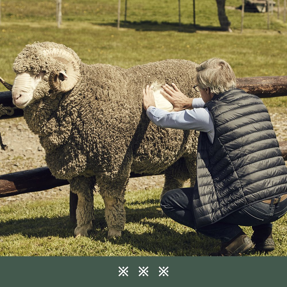 A passion for selecting... 
#comingsoon #new #news #newcollection #tonikwool