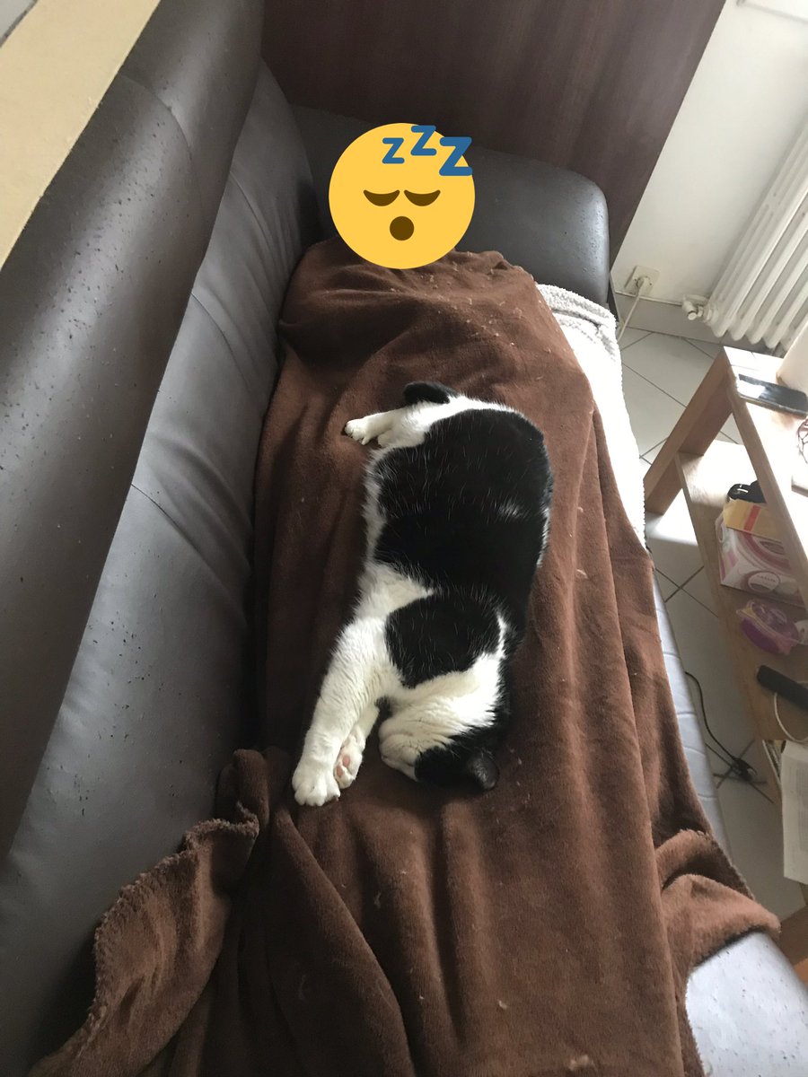 KnackieSF's tweet photo. Et comment je m’assoie moi ? #PostGarde https://t.co/DtNJLCiuIn