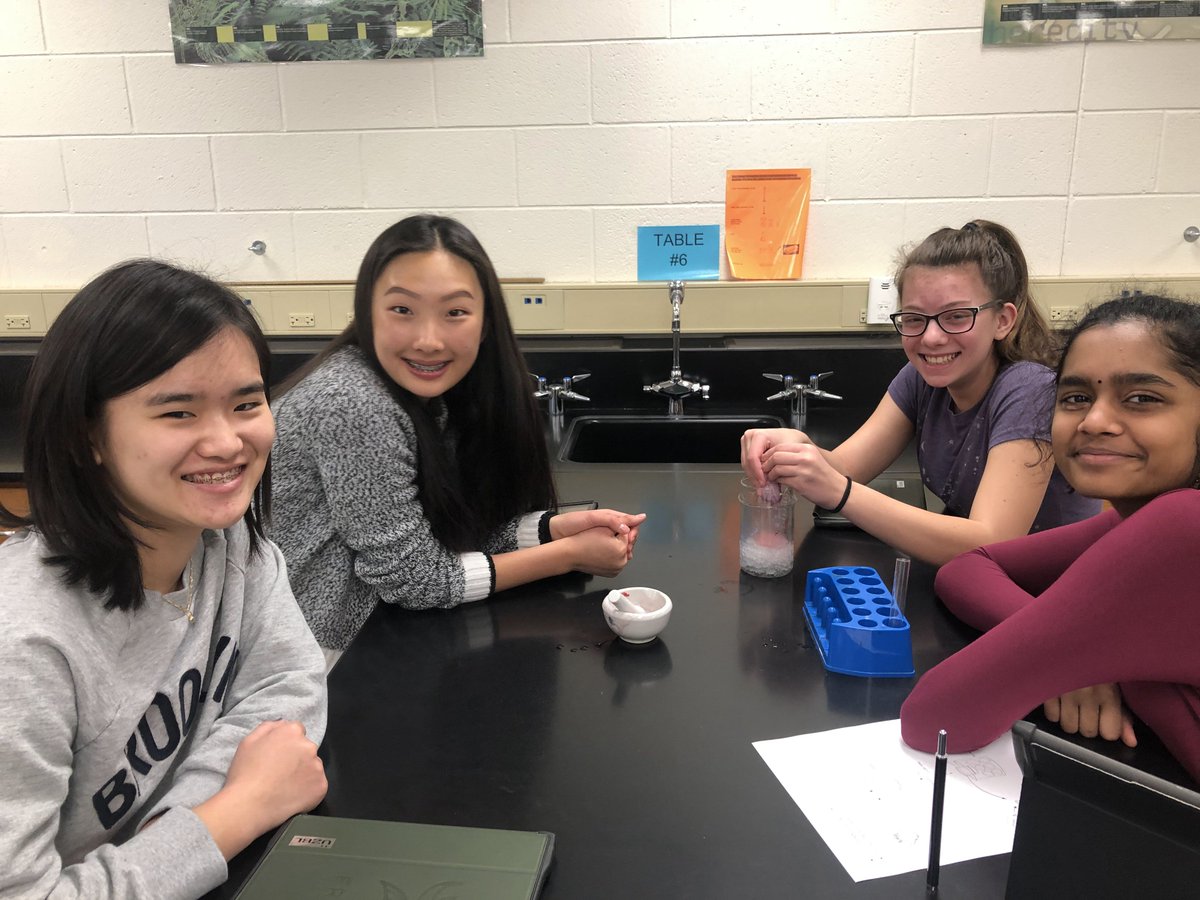 BiologySanchez's tweet photo. DNA extraction from a strawberry. Science! #FHSspirit https://t.co/wjeAGmPkzt