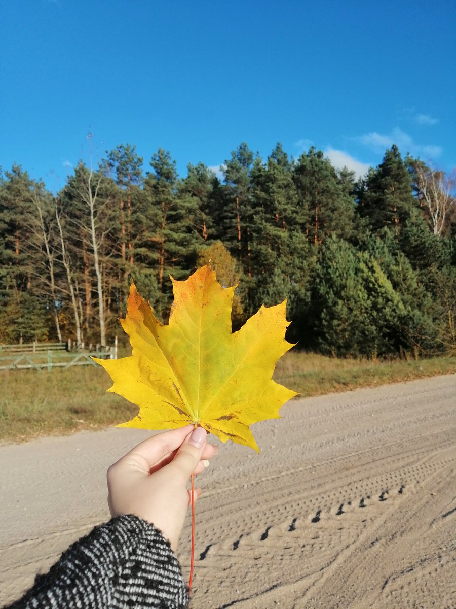 Maria_5790's tweet photo. Верните меня в осень... https://t.co/7avTtRrZbS