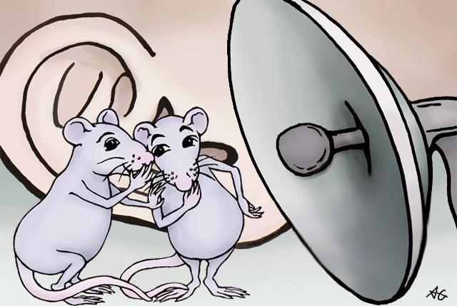 GIRCOR's tweet photo. #Neurosciences #recherche: développement d'un #logiciel pour l'étude des #vocalises chez les #rats🐀 et #souris🐁. #DeepSqueak est basé sur des #algorithmes #biomimétiques qui transforment un signal sonore en #sonogrammes https://t.co/BefP3ZuSBn #VIDEO YT https://t.co/EXlRALbiHQ https://t.co/ct6GepHrPF