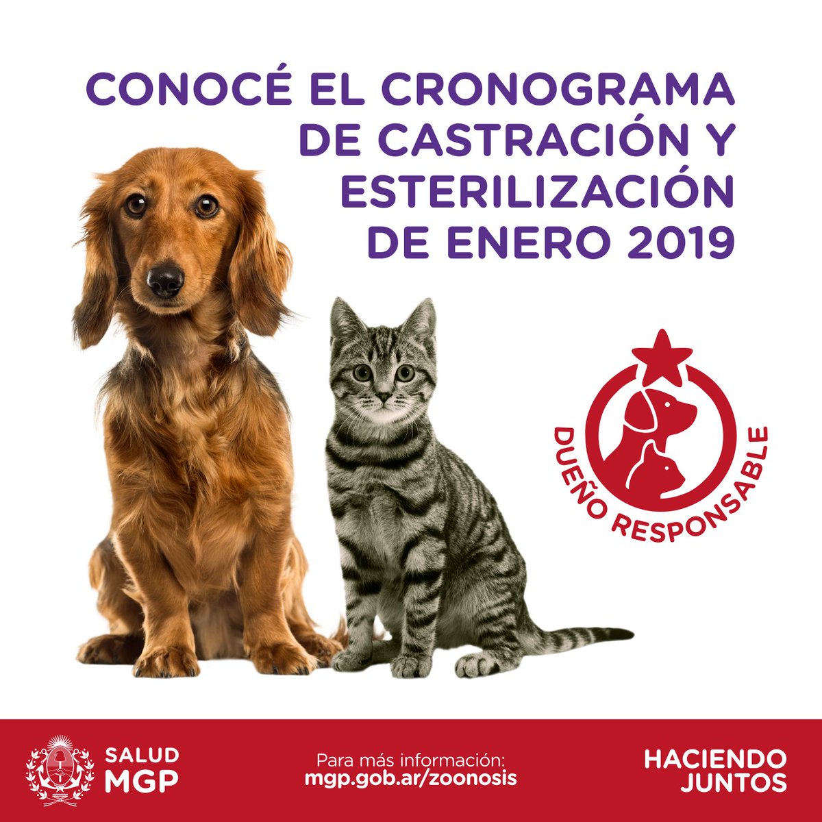 #DueñoResponsable
🐕🐈 Conocé el cronograma de castración y esterilización quirúrgica gratuita para perros y gatos de este mes
👉 Cronograma Enero 2019: bit.ly/2TCXJey 
Con dueños responsables logramos una ciudad cada vez más saludable.
#HaciendoJuntos