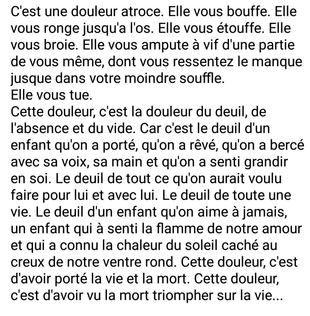 * ~ Sara ~ * tweet media