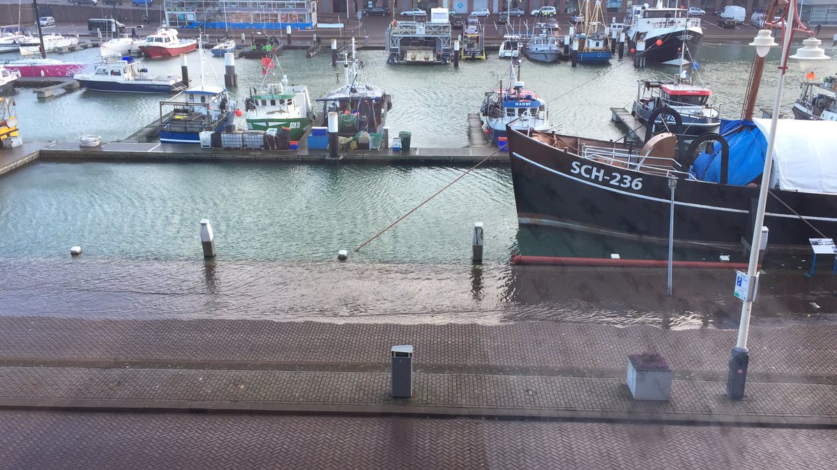 Marielle v.d. Keur tweet media